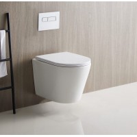 Wall Hung Pan Toilets